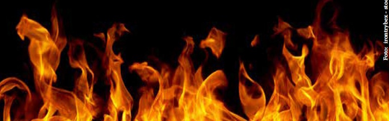 Silent-Inflammation_Bild_N_2025